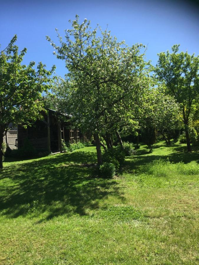 Pokoje Goscinne Na Wodnej Lidzbark Welski Exterior foto